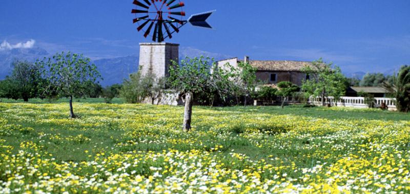 Molinos - Islas Baleares 